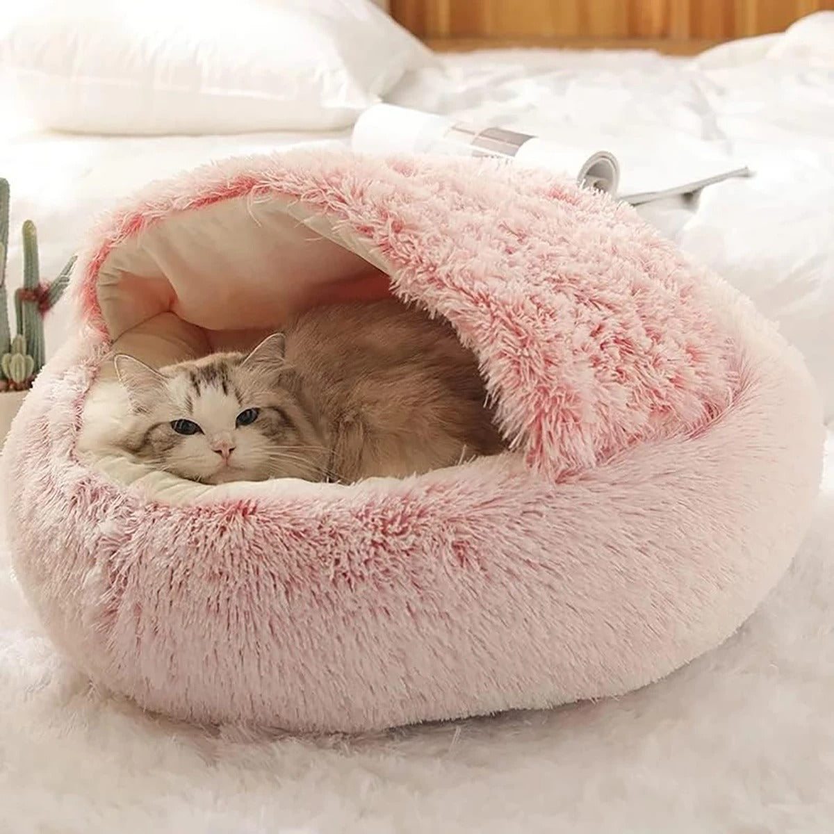 Covered Pet Bed